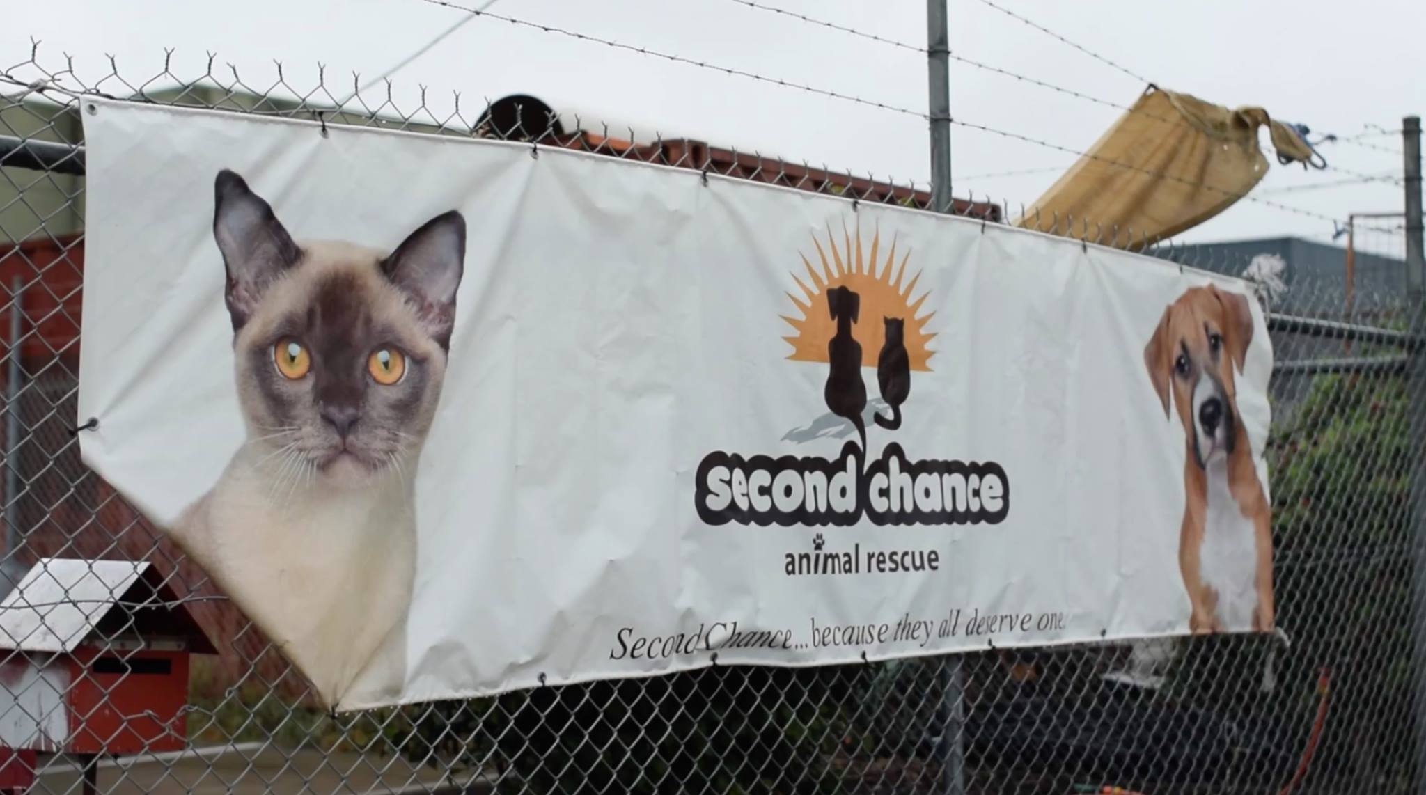 Second Chance Animal Shelter